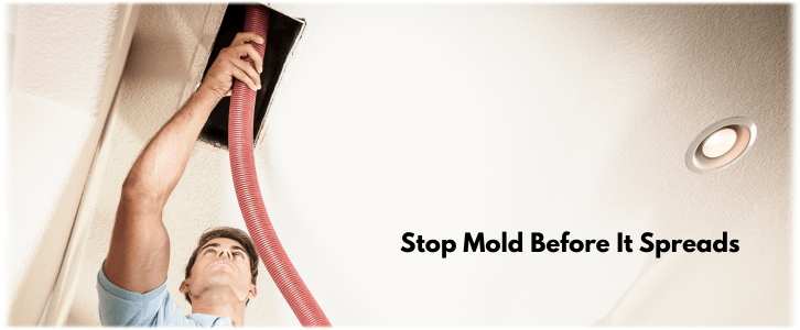 Air Duct Mold Removal in Palm Beach