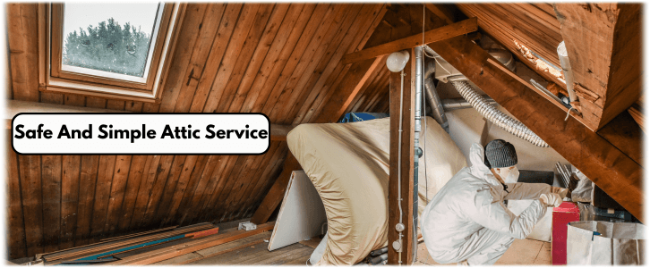 Attic Cleaning Palm Beach